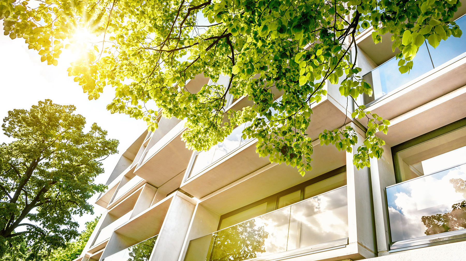 Saxony Condominium Association, Inc. cover